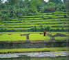 Amankila resort 